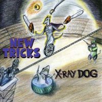 Small Town Hero_X-Ray Dog