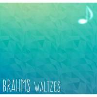 Waltz No. 1 in B major_Ralph Kruger,Johannes Brahms