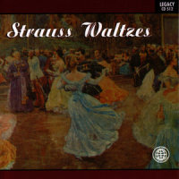 The Kiss Waltz (赛米:华尔兹舞曲)_Vienna Symphony Orchestra,Johann Strauss Jr.