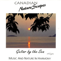Minuet In G Minor_Brad Prevedoros,Johann Sebastian Bach