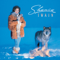 What Made You Say That_Shania Twain