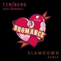 Seek Bromance_Slamdown,Tim Berg,Avicii
