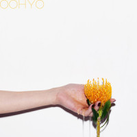 꿀차_OOHYO (우효)