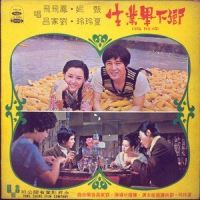 叮咛_凤飞飞