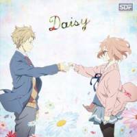 Daisy_STEREO DIVE FOUNDATION