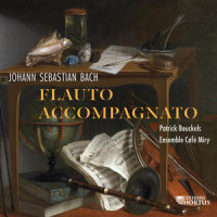 Sonate en Mi Mineur, BWV 1034: III. Andante_Patrick Beuckels,Ensemble Café Miry