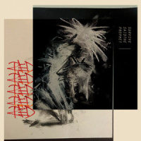 Lost & Found_Survive Said the Prophet