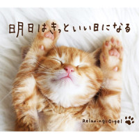Hopefully Tomorrow Will Be Fine_Relaxing Orgel