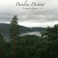 A place in my heart_Painless Destiny