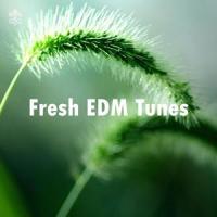 Summer Feelings(feat. Zaka)_Alex Skrindo,Zaka