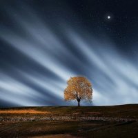 Summer Wind Blows_Rain for Deep Sleep,Avslappning Sound,Deep Sleep