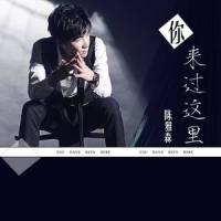 你来过这里_陈雅森
