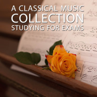 Muzio Clementi - Sonatina No 1 in C Major_Piano Pianissimo,Exam Study Classical Music,Exam Study Classical Music Orchestra