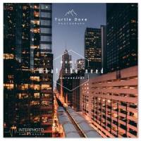 What we need_Turtle Dove斑鸠,Hardwell,Haris