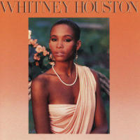 Nobody Loves Me Like You Do_Whitney Houston,Jermaine Jackson
