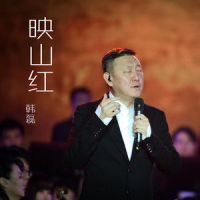映山红_韩磊