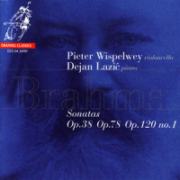 Sonata for Piano and Cello in F-Minor, Op. 120, No. 1: IV. Vivace_Pieter Wispelwey,Dejan Lazić,Johannes Brahms