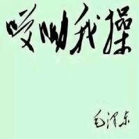 阿萨飒飒飒飒撒爱上_村人Z,洛天依