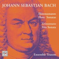 Allegro moderato_Ensemble Trazom,Johann Sebastian Bach