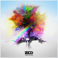 Illusion_Zedd,Echosmith
