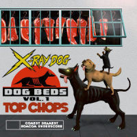 Delicious Secrets_X-Ray Dog