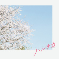 それぞれの想い_小濑村晶