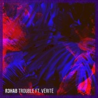 Trouble_R3HAB,VÉRITÉ
