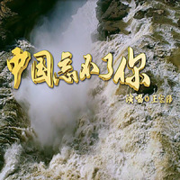 中国忘不了你_王宏伟