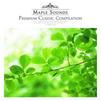 Smetana: Czech Dances II T.112 - VII. Lancer_Bedřich Smetana