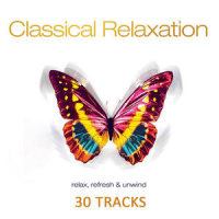 Piano Concerto No. 21 in C Major, K. 467 "Elvira Madigan": II. Andante_Nurnberg Symphony Orchestra,Ludwig van Beethoven,Alexander Von Pitamic