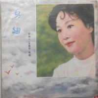迷人的夜晚_李谷一