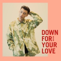 DOWN FOR YOUR LOVE_李大奔