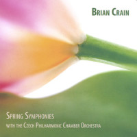 Andante Affettuoso_Brian Crain