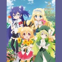 星に祈りを_加藤达也
