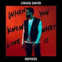 When You Know What Love Is_Craig David