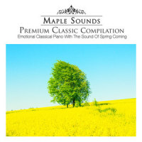 Grieg: Lyric Pieces Book.X Op.71 - No.1 Once Upon A Time_Edvard Grieg