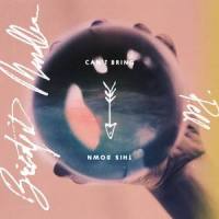 Can't Bring This Down_Bridgit Mendler,Pell