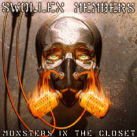 Long Way Down_Swollen Members,Sarah McLachlan