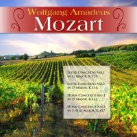 Flute Concerto No. 1 in G Major, K.313: III. Rondo - Tempo di menuetto_Medicine,Wolfgang Amadeus Mozart,Various Artists,Württemberg Chamber Orchestra Heilbronn