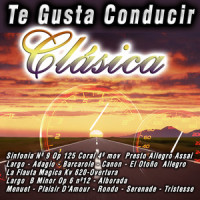 Canon_The Royal Natives Orchestra,Johann Pachelbel