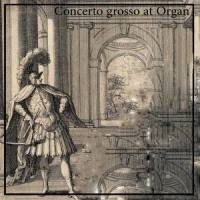 Concerto grosso in D Minor, Op. 5 No. 2: 1. Largo_David Ennarqua,Giuseppe Torelli