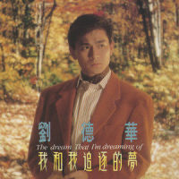 痴情岁月_刘德华