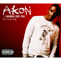I Wanna Love You_Akon