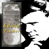 Piano Concerto No. 2 in D Major, Op. 83: II. Allegro appassionato_Berliner Philharmoniker,Wilhelm Furtwängler,Edwin Fischer