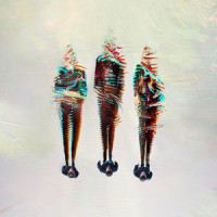 Amazing_Take That
