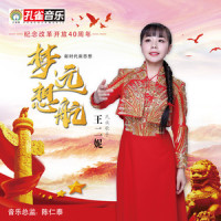 梦想远航_王二妮