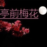 亭前梅花_洛天依