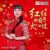 红红的日子火火的过_王二妮