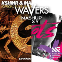 Secret Bazaar_Wavers,Tiësto,KSHMR,Marnik