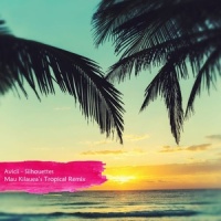 Silhouettes_Mau Kilauea,Avicii